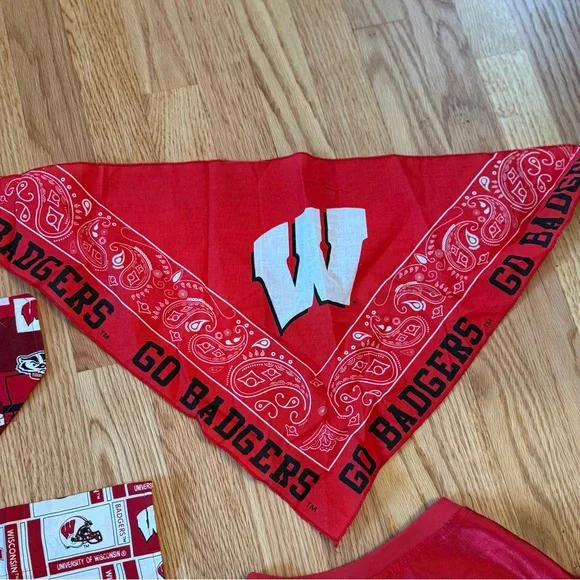Wisconsin Badger Pet Jerseys And Bandanas Lot College University Badgers Dog - Picture 7 of 13